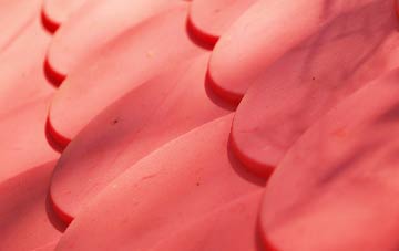 Friog plastic roof costs